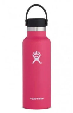 Hydro Flask 18 Oz Standard Mouth Bottles W/ Flex Cap (S18SX) -BROOK Style Shop 703c85662284dd639d61000c1ccb78f7433870a8 600x 6d307622 038e 41a6 a118 a278fe53c049