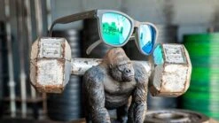 Goodr Sunglasses - OG Beast Collection (OG) -BROOK Style Shop Product 0009 Silverback 1000x d453092e adbf 4888 9597 575f8b234ba2