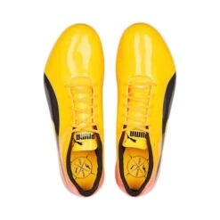 PUMA Unisex EvoSPEED Sprint 14 Spikes -BROOK Style Shop PumaUnisexevoSPEEDSprint14SunStream 2 Edited