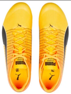 PUMA Unisex EvoSPEED Tokyo Brush 4 Track Spike -BROOK Style Shop PumaUnisexevoSPEEDTokyoBrush4 5