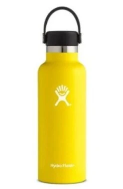 Hydro Flask 18 Oz Standard Mouth Bottles W/ Flex Cap (S18SX) -BROOK Style Shop s l500